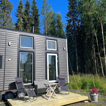 הוילה טורניו Luxus Tiny House Saagala מראה חיצוני תמונה